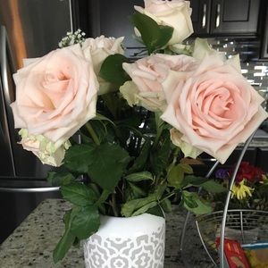 Meet your Posher, Gianna